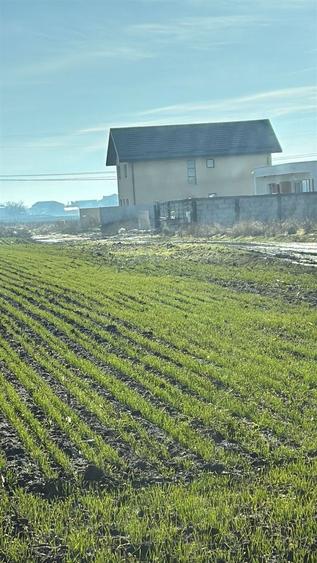 Teren 374 mp la intrarea in Comuna Berceni- oportunitate investitie - 3