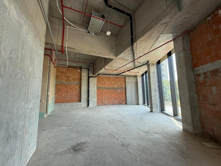 Sp. Com 124 mp 6 m inaltime, One Verdi Park - 14