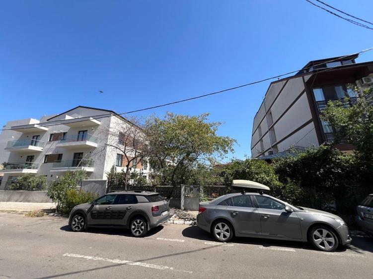 Teren str Renasterii Chitila - 2