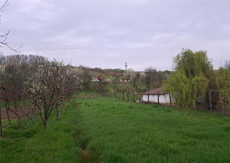 Apartament cu 3 camere , decomandat , cu 2160 mp teren intra - 2