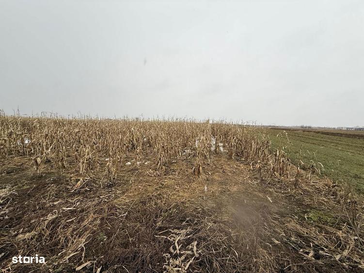 Teren extravilan | Galanesti | 7.276 mp | Front 29 m - 2