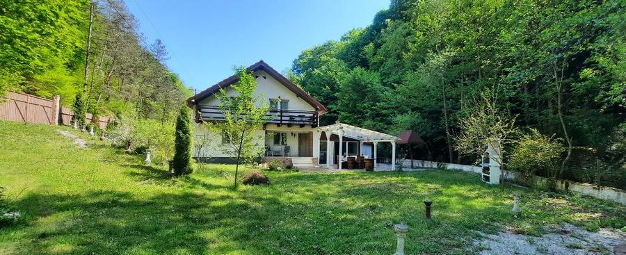 Casa pt investitie in Hunedoara - sat Govajdia - 17