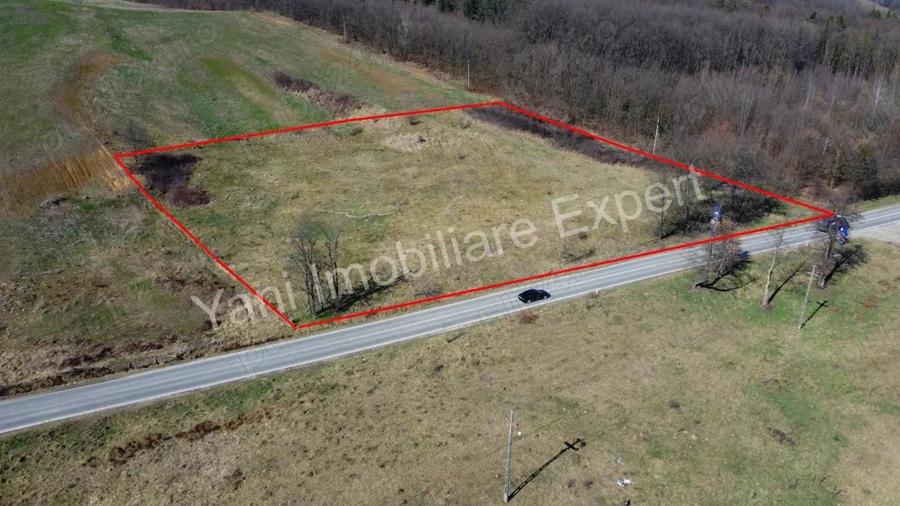 Teren 10.000 mp de vanzare in comuna Valea Ia?ului, jude? Arge?. - 6