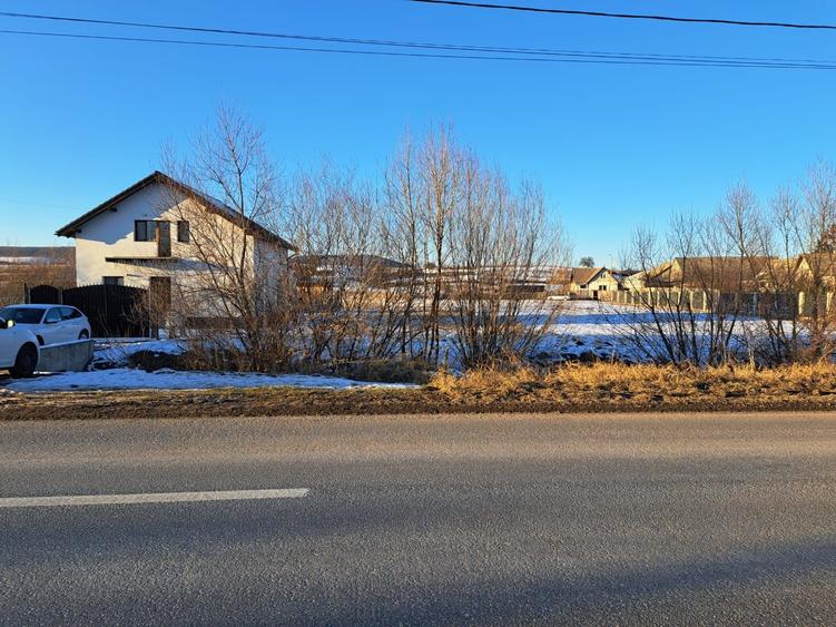 Teren Intravilan de vanzare - 1