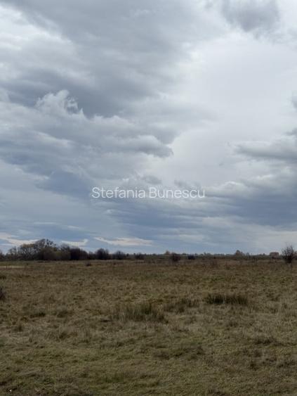 Terenuri extravilan  | 1000 mp, 2000 mp  | Valea Avrigului
