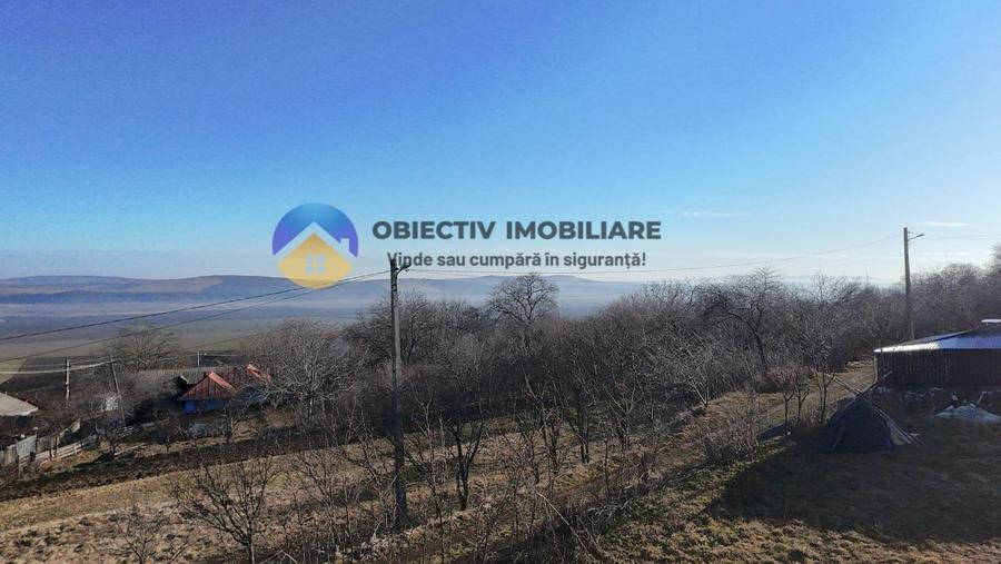 Teren intravilan DOBRENI - 6