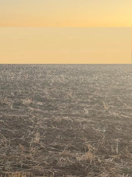 Branesti vand teren intravilan 2.500 mp, pret 70 euro/ mp - 1