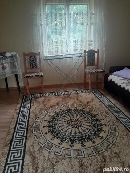 vand casa Vadastrita - 2