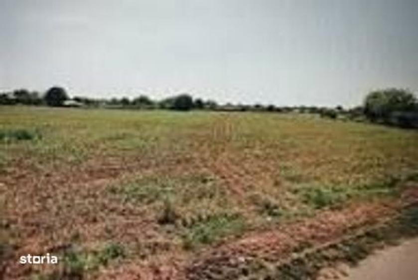 30700mp in Comuna Ciolpani | Extravilan - 8