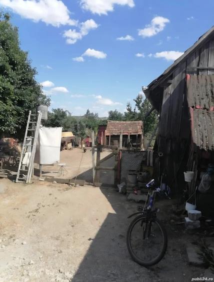 Casa la curte de vanzare in Abus Mures - 2