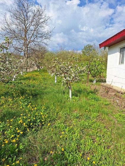 Casa P+M, direct proprietar, teren 2093 mp - 2