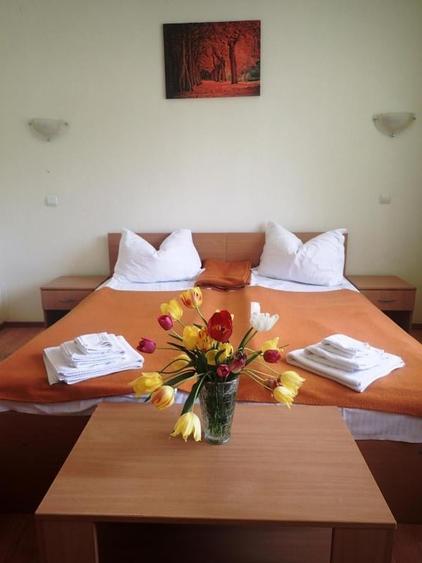 Pensiune functionala arhitectura deosebita Buzias - 9