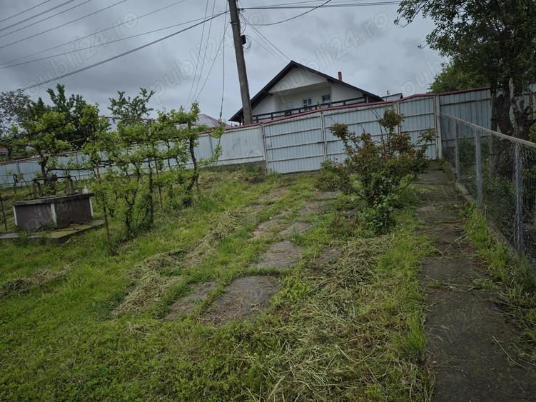 Casa cu anexe ?i padure - 6