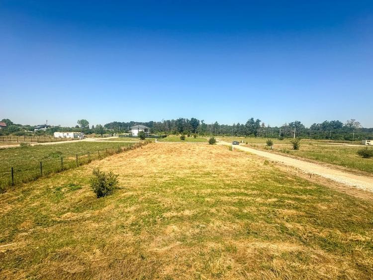 Teren 1116 mp gulia Eden Forest - 4