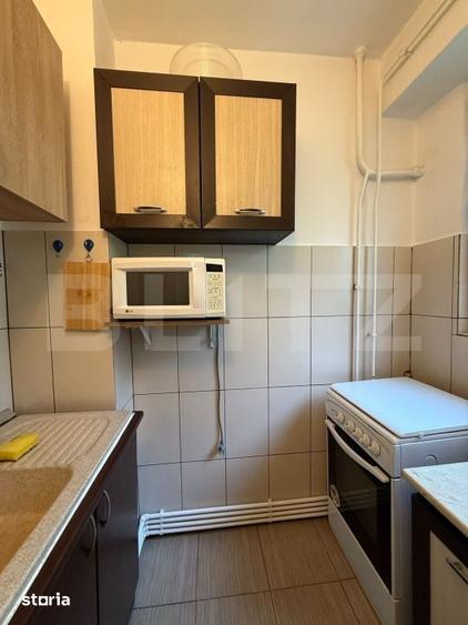 Garsoniera, 22 mp, zona Ireg, parter - 10