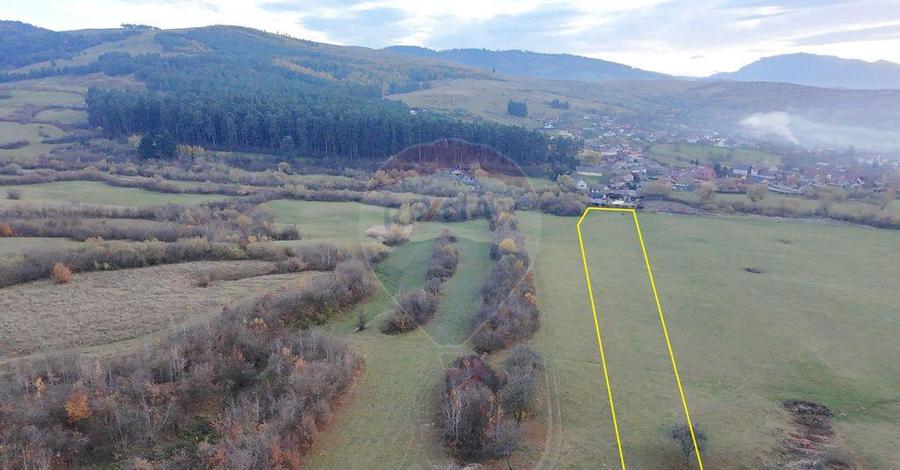 Teren 5.800 mp Purcareni curent, gaz, apa / Strada 30 de... - 6