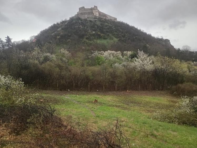 Teren Panoramic Premium - Vedere Superbă "Cetatea Devei" - 1