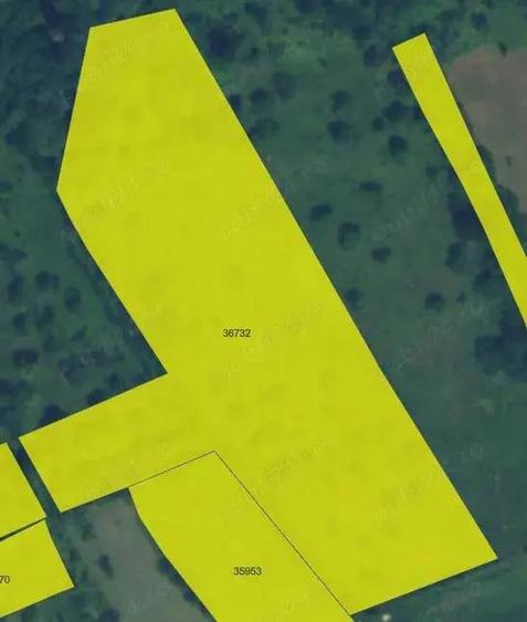 Teren Zona Subcarpatica Stoenesti - 2