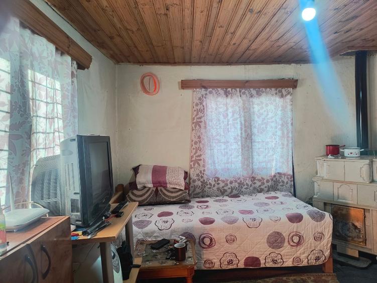 Casa cu mansardă și livada - 3