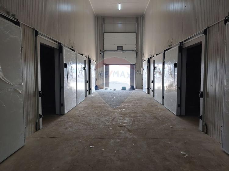 Depozit frigorific de 216 mp cu 4 celule, Scheia, Suceava - 17