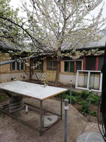 Vand teren intravilan , cultura de vie si casa batraneasca - 4