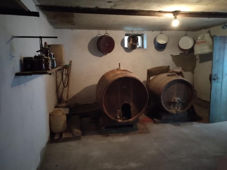 Casa cu teren -  central Segarcea - 12