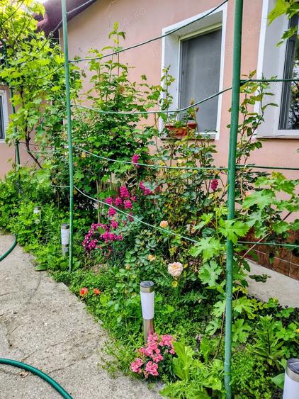 Oportunitate! Proprietate in judetul Arges cu condi?ii de ora? - 9