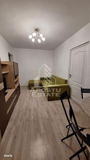 Apartament de inchiriat 2 canere sagului, pet frandly - 4