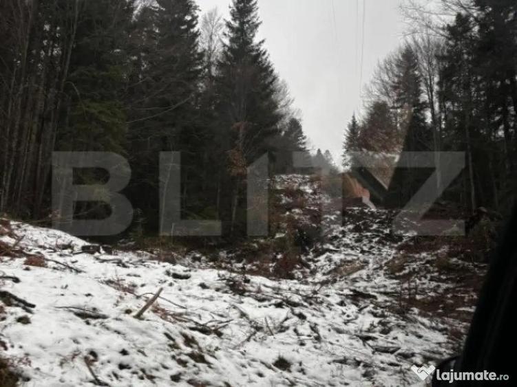Teren unic, exclusivist 4000 mp, in inima muntilor, Sinaia - 7