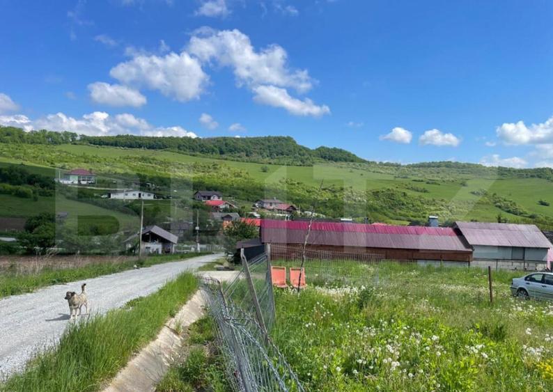 Teren de vanzare 1917 mp, zona Valea Jelnei - 6