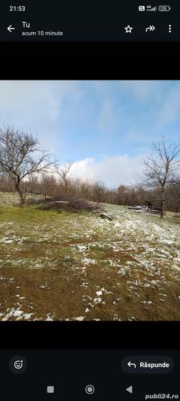 Vand casa cu 5000 mp teren - 3