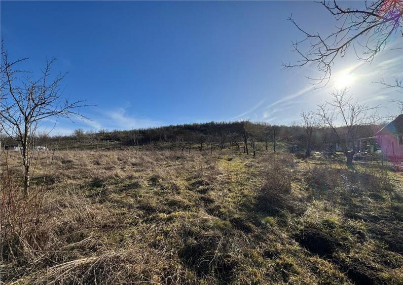 RECO Teren intravilan 2460 mp Santelec - 3