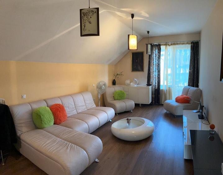 Casa superba Parcul Subarini - 15