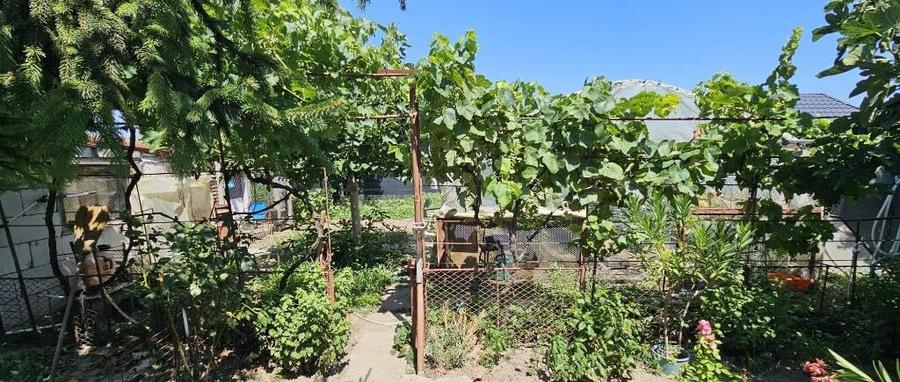 Casa la sol /Ovidiu / garaj - 8