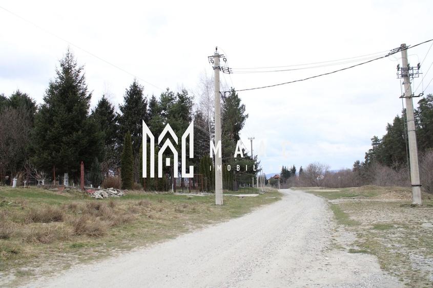 Pământ I Fereastră către Eternitate în  Transilvania - 8