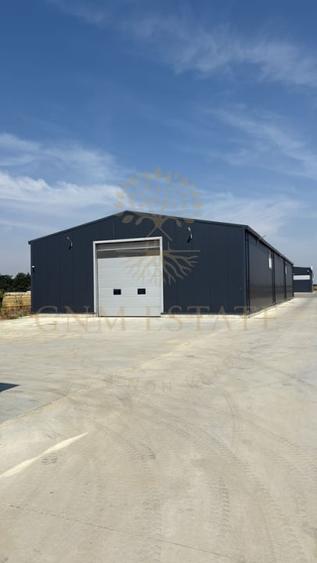Hala industriala 590 mp Magurele / Centura - 2