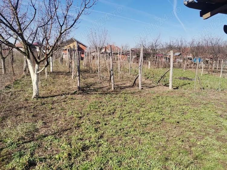 Casa de vanzare sat. Bogei, jud Bihor - 1