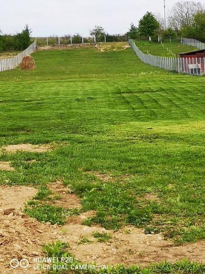 Teren de vanzare Lelesti, Tg-Jiu, Gorj - 3