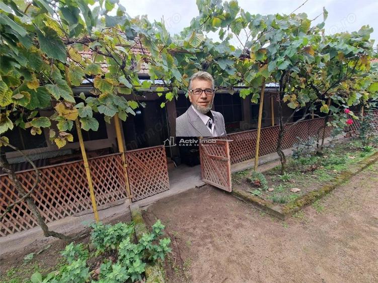 Sosdea 2 Case cu Teren 4657 Mp. - 1