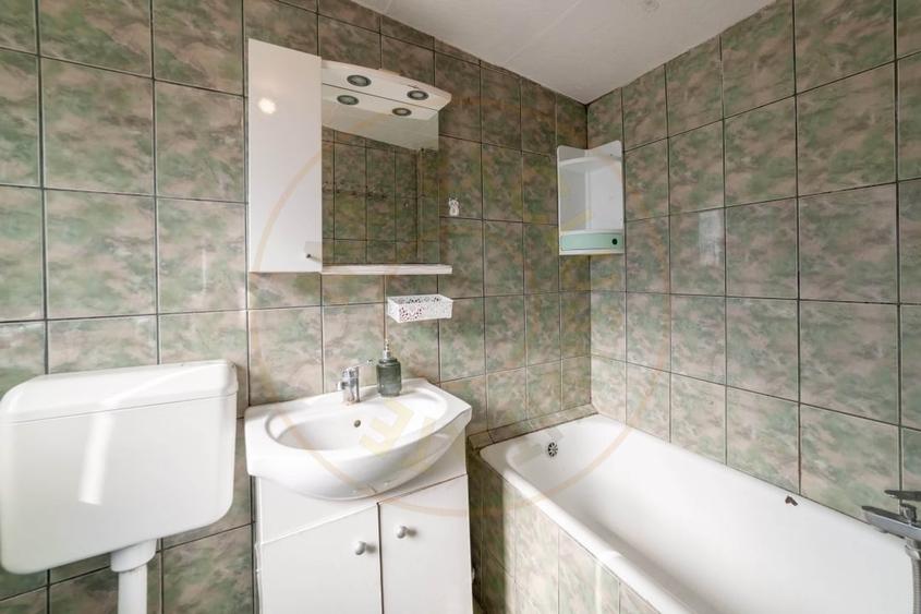 Casa parter + 3.055 mp teren in Costesti - 9