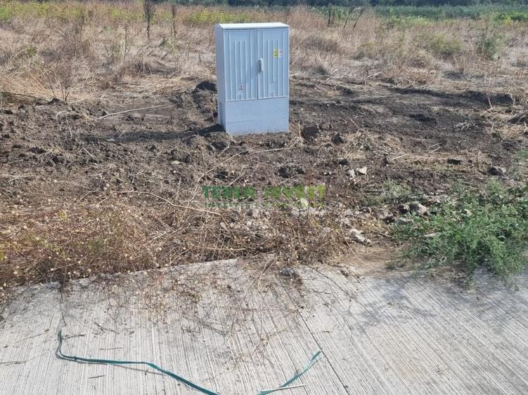 Proprietar ofer spre vanzare loturi teren - DN 4 Popesti-Frumusani - 17