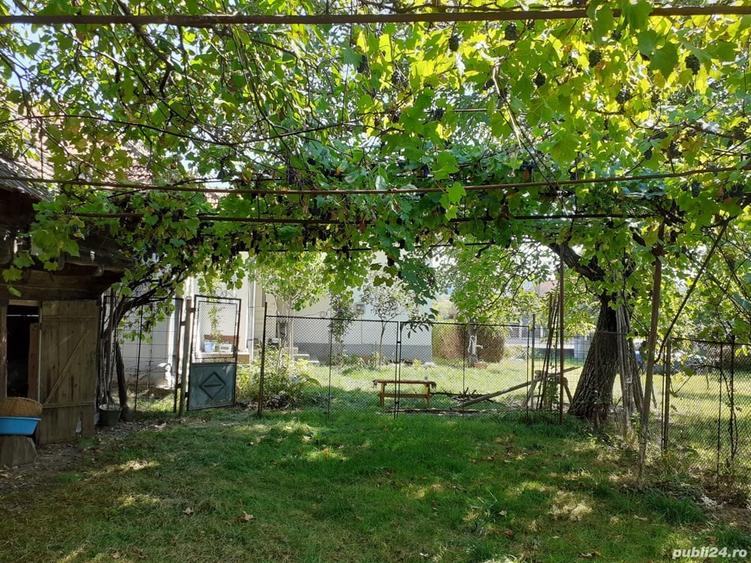 Casa cu teren ?i anexe - 3