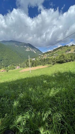 Teren Magura-Brasov - 7