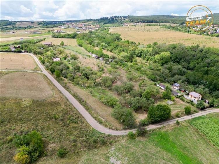 FILM! 4.500 mp,extravilan,livada,in Sancraiu,Covasna,acces facil,pomi fructiferi - 5