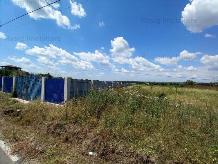 Teren intravilan 1187 mp , strada asfaltata , utilitati - 3