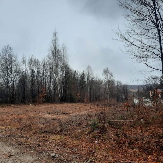 Vand teren 1000 mp (10 ari) Dragus, zona turistica de top - 4