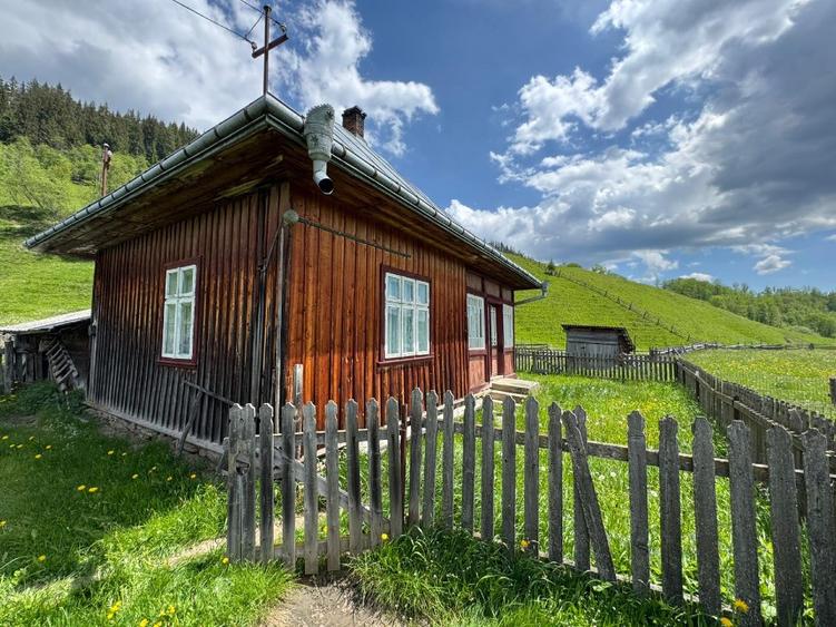 Vând proprietate 3,5 ha în Breaza de Sus, jud. Suceava, pe malul râului Moldova - 3