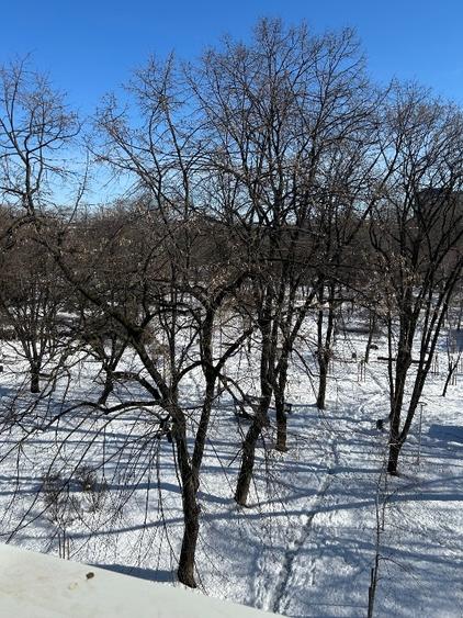 Apartament Floreasca -  vedere parc - 7