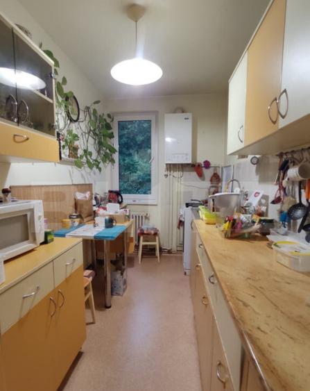Apartament spa?ios cu 3 camere + garaj , Cornisa - 9