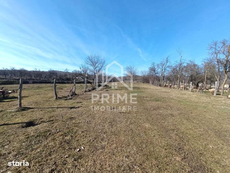 Teren Generos in Paclisa Intimitate si Natura la un pas de oras - 2